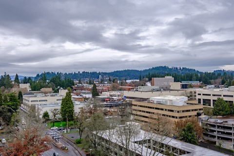 PattersonTower_Eugene_OR_View