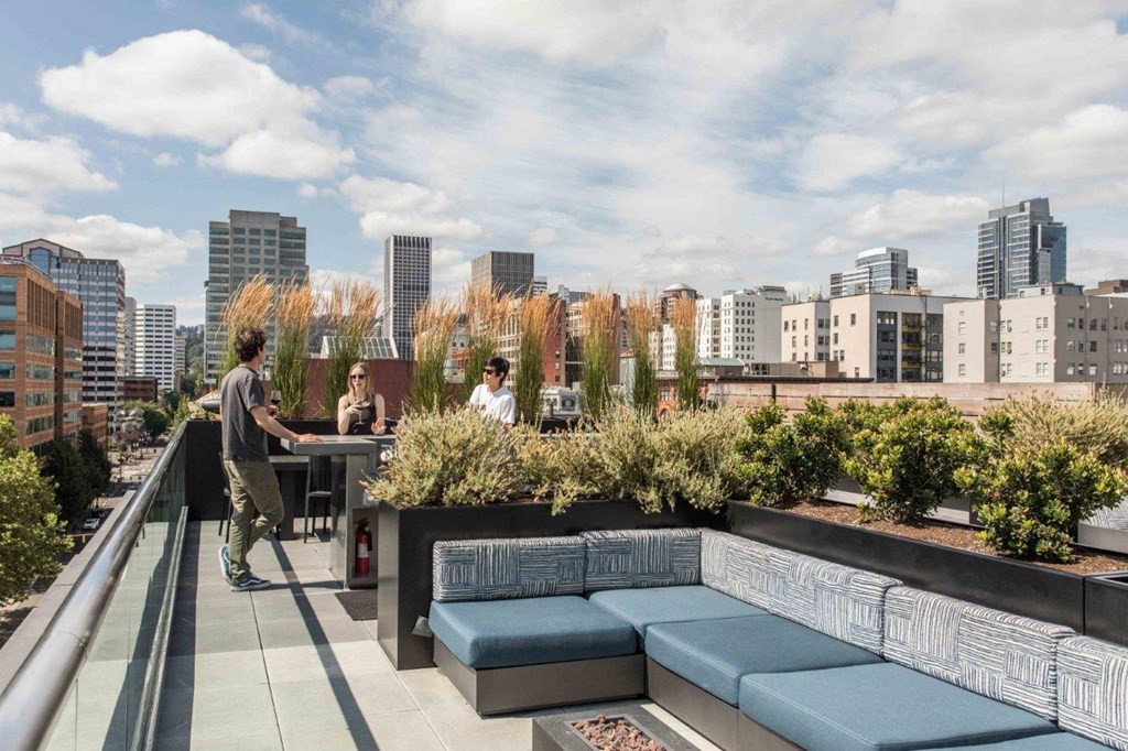 230 Ash Apartments Rooftop Courtyard