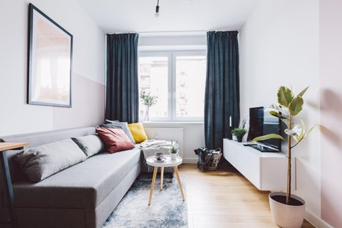 A living room with a grey couch, a small table, and a potted plant.