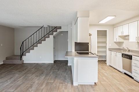 Somerset Terrace Living Room and Kitchen