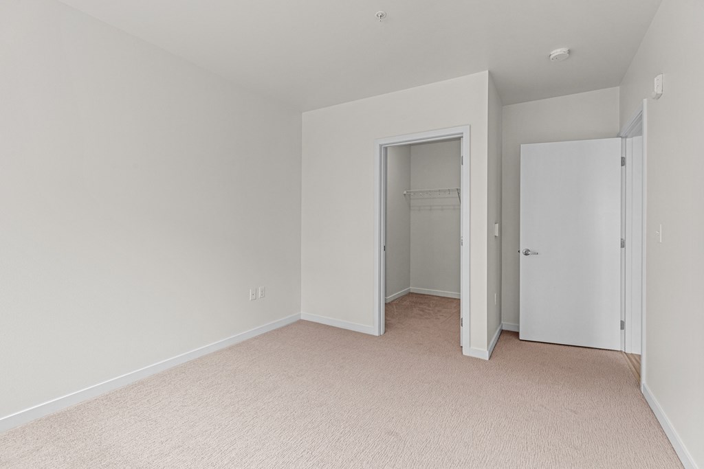 bedroom with closet and carpet flooring