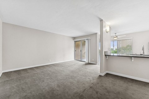 A spacious room with a carpeted floor and a sliding glass door leading to a balcony.