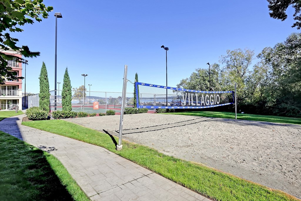 a volleyball court in a park with trees and buildings in the background