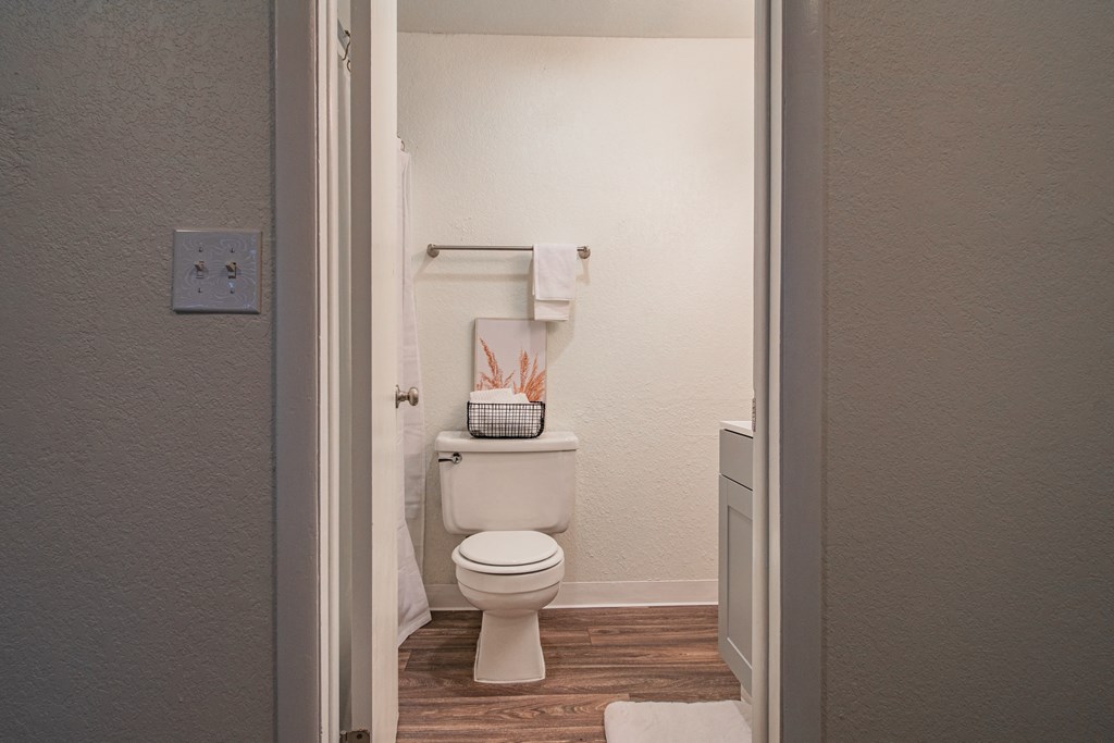 The Willows Apartments bathroom