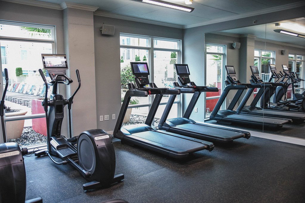 a row of treadmills and ellipticals in a gym
