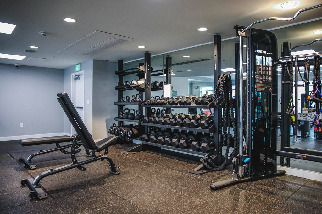 a home gym with weights and a rack of dumbbells