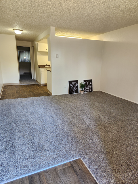 an empty living room with carpet and a kitchen