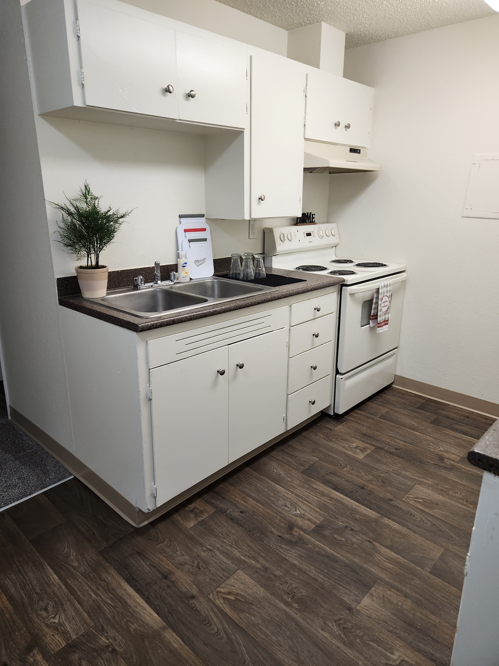 Wisteria Walk kitchenette with a sink stove and dishwasher