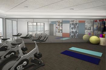 Yoga and Spin Studio