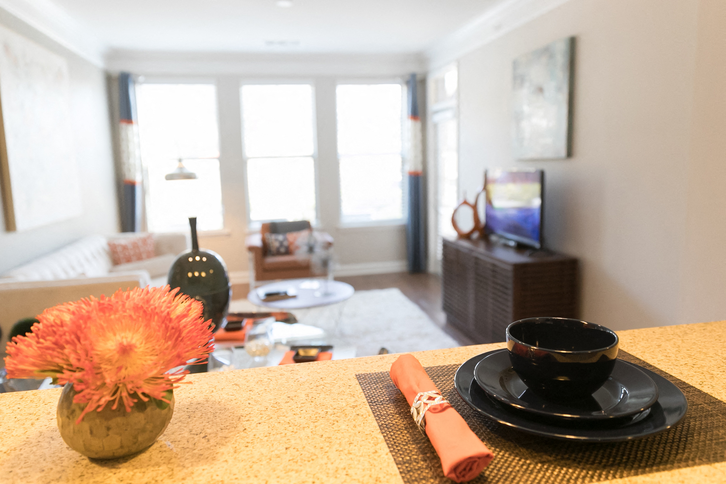 The Regency At Johns Creek Walk