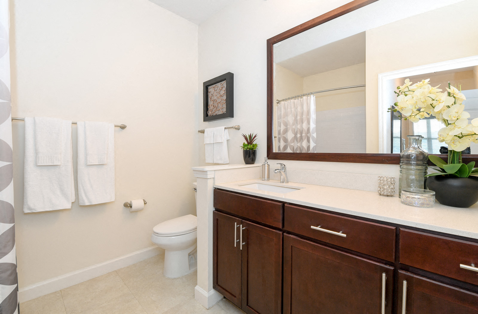 a bathroom with a sink and a mirror and a toilet