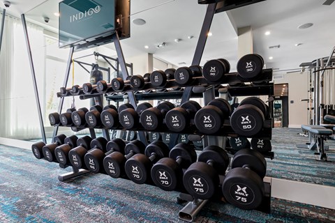 Indigo West Palm Beach