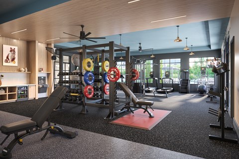 A gym with a variety of equipment including weights and a bench.