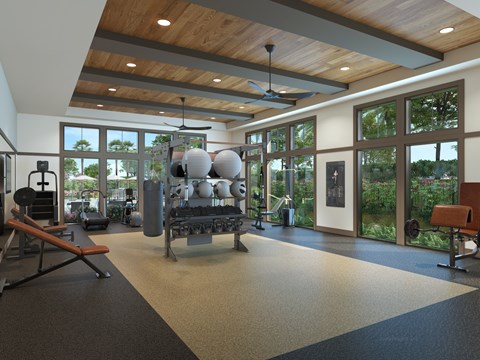 A gym with a variety of equipment including a bench press, a squat rack, and a rowing machine.