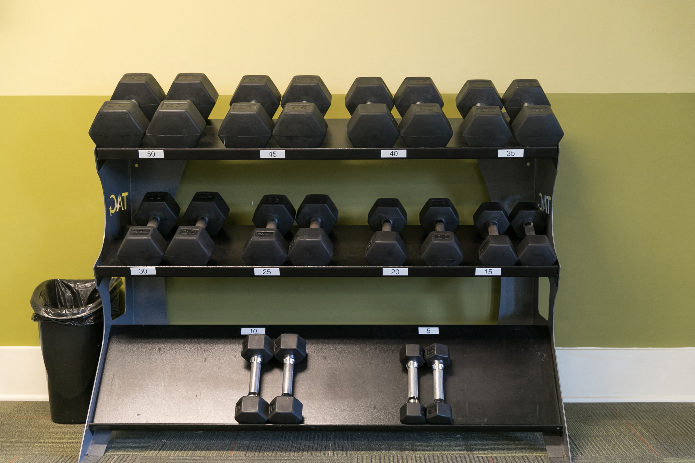 The Regency At Johns Creek Walk