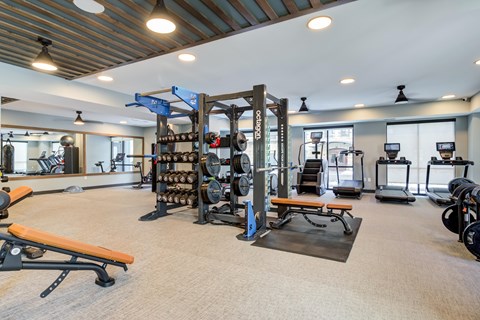 A gym with a variety of equipment including weights and cardio machines.