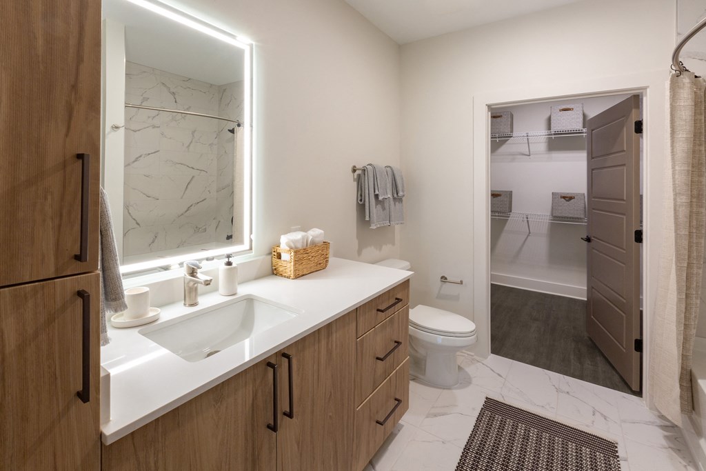 a bathroom with a sink and a mirror and a toilet