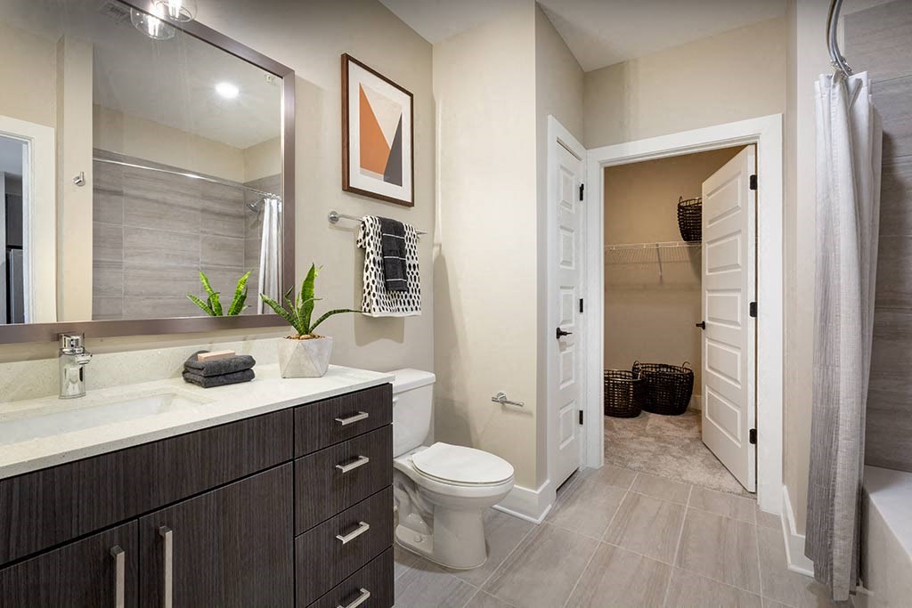 Bathroom with large mirror and walk-in closet space. 