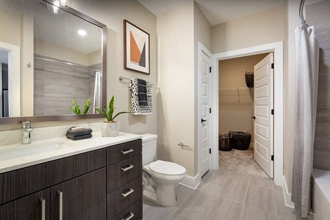 Bathroom with large mirror and walk-in closet space. 