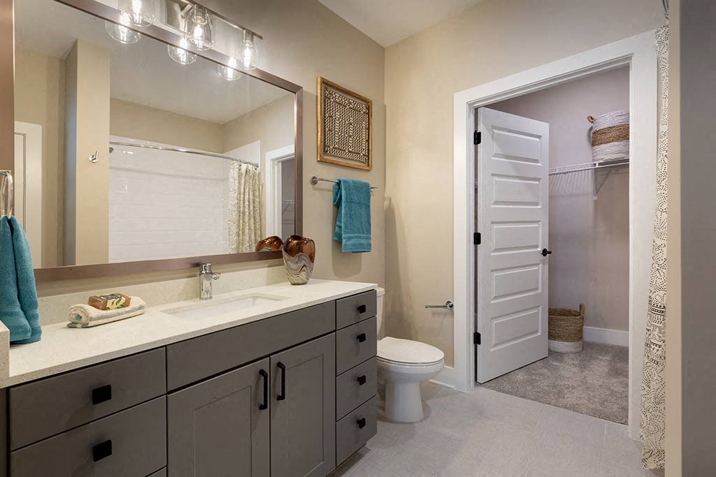 Bathroom with a large vanity, sink and walk in closet.