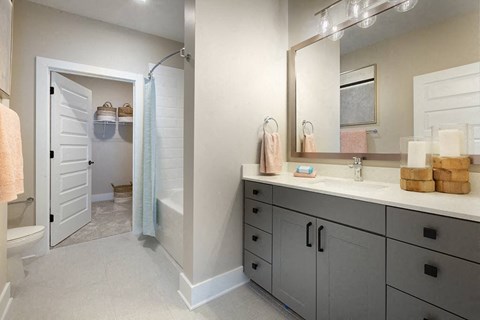 Bathroom with a large vanity, bathtub, sink, and walk in closet.