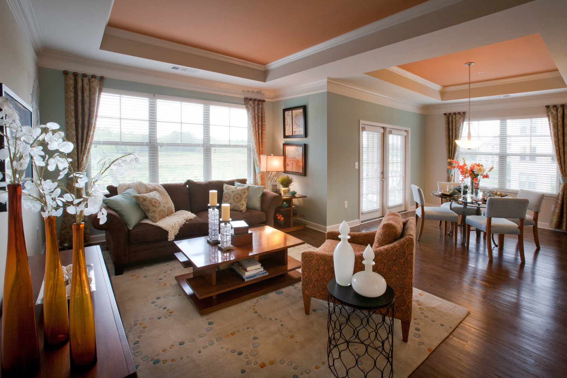 The Regency At Johns Creek Walk