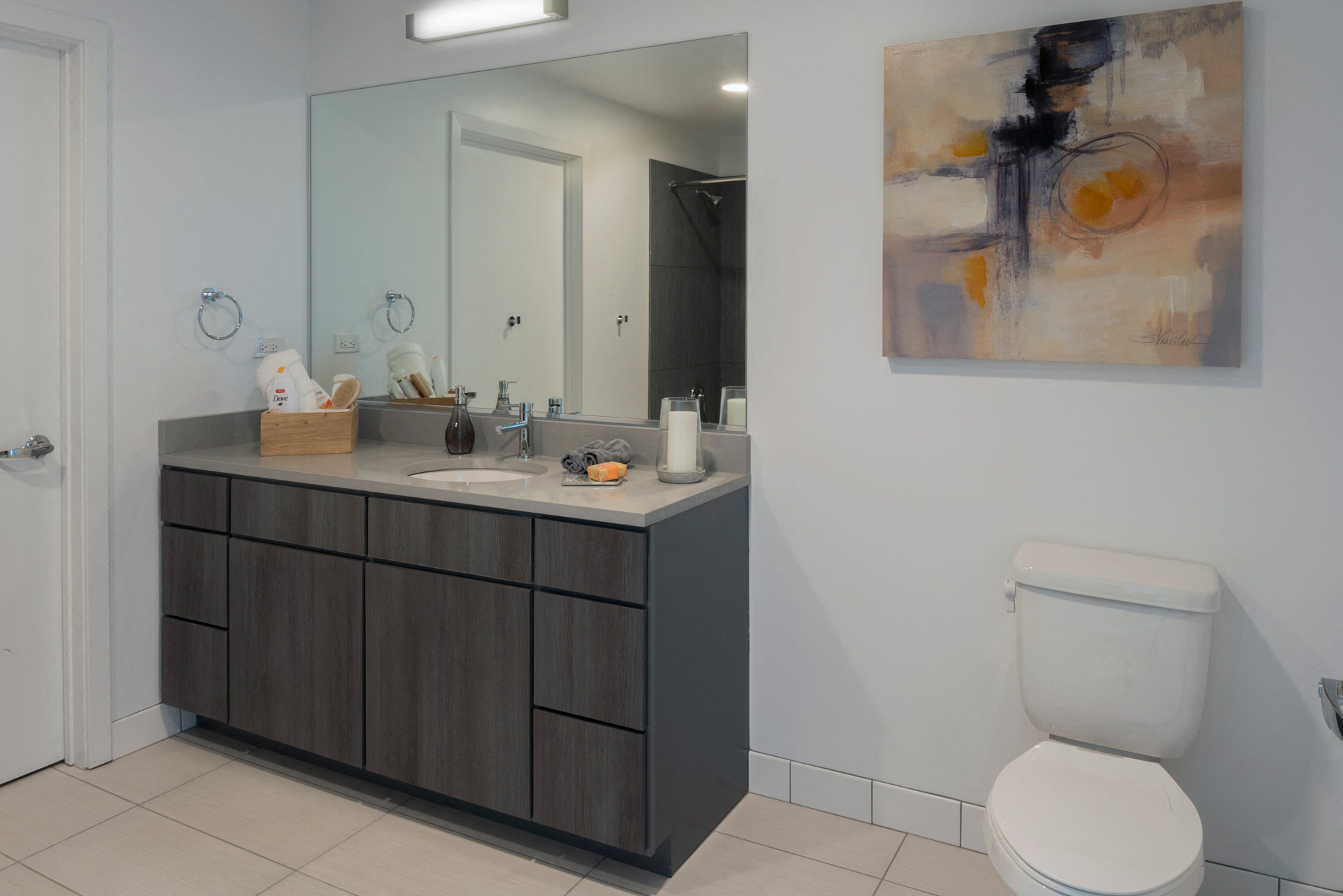 Evanston Luxury Apartments for Rent - The Main Apartments Bathroom with Large Mirror Over Vanity with Ample Counter Space and Multiple Storage Drawers