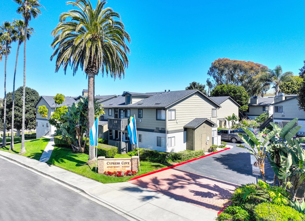 a row of houses on a street with palm trees