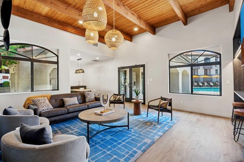 A living room with a grey couch and a blue rug.