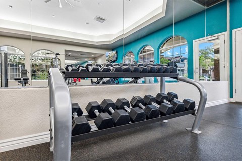 A gym with a row of black dumbbells on a rack.