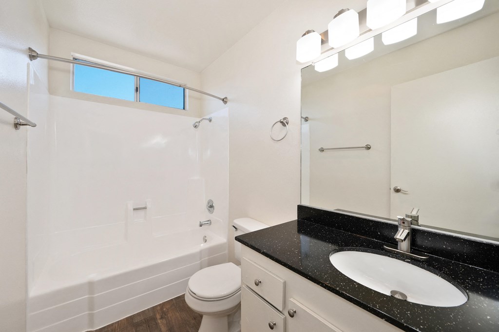 a bathroom with a sink and a toilet and a shower