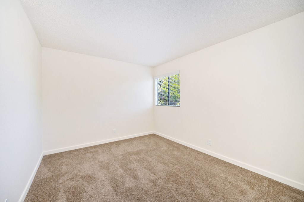an empty room with carpet and a window