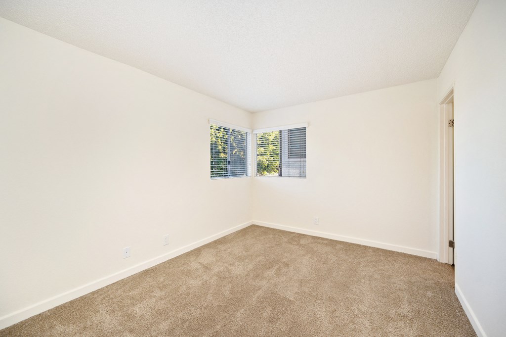 a spacious living room with carpet and a window