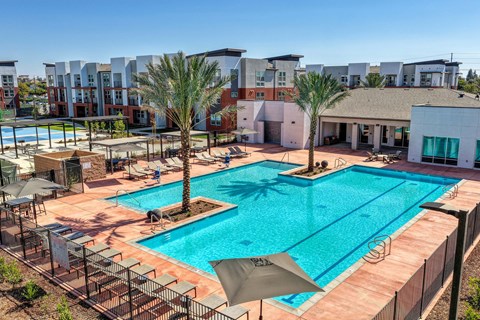 Huge swimming pool with palm trees and lounge seating.