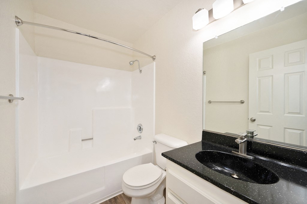 a bathroom with a sink and a toilet and a bath tub