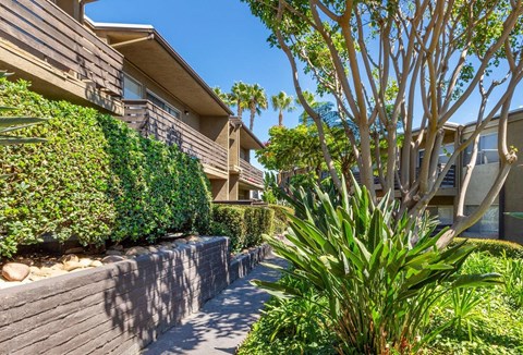 Community exterior with shrubs and trees.