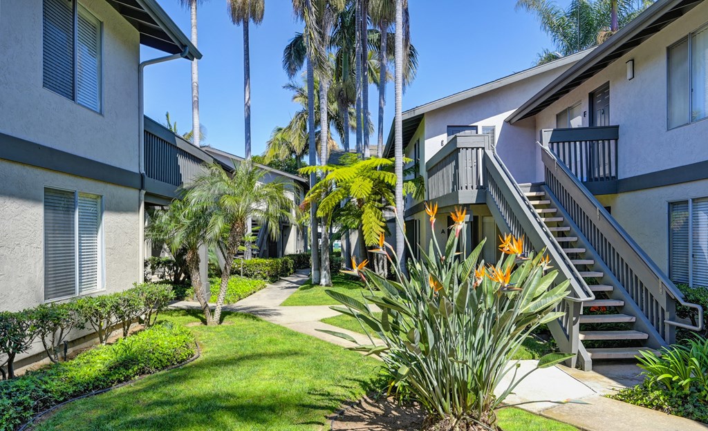 a sidewalk in front of a building with palm trees