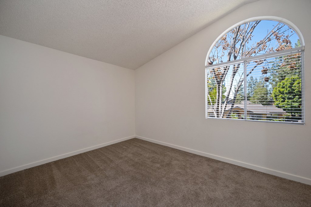 an empty living room with an arched window