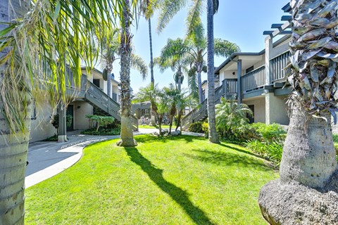 A courtyard with palm trees and the community building surrounding.