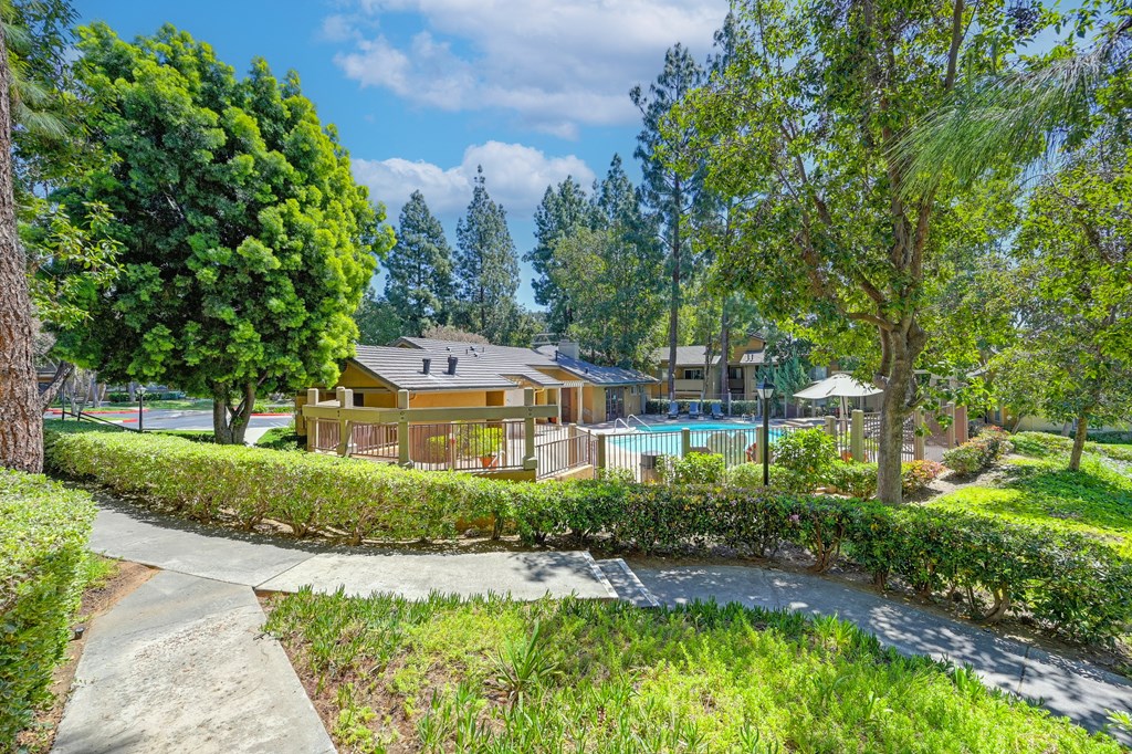 a backyard with a pool and trees and a house