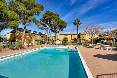 A swimming pool in a sunny backyard with trees and a building in the background.