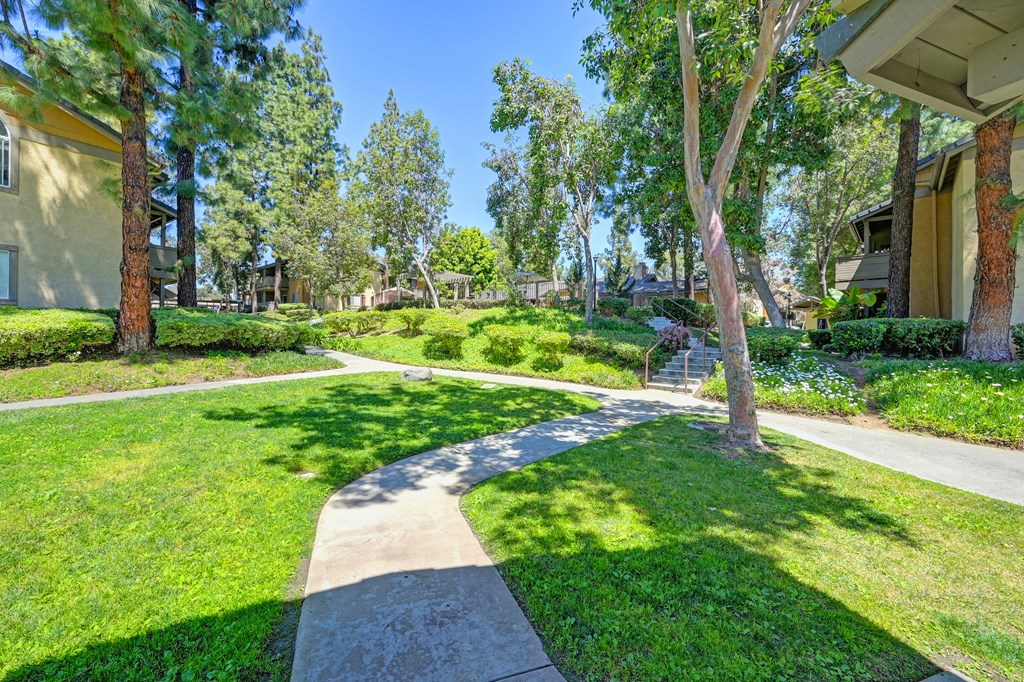 the walkway through the neighborhood is lined with trees and grass