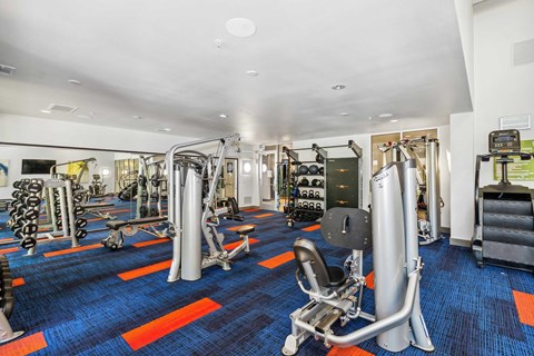 A gym with a variety of equipment including a leg press machine.