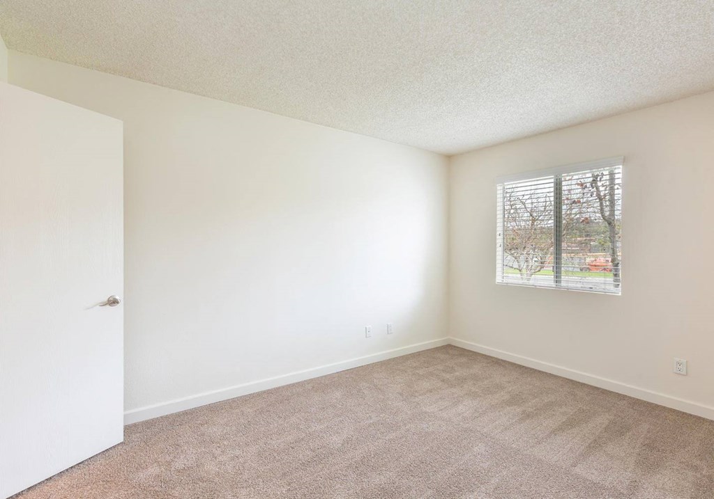 an empty living room with a window and carpet