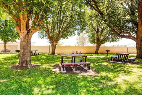 A picnic area with tables and benches under trees.