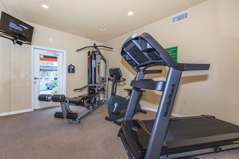 A home gym with a NordicTrack treadmill and other exercise equipment.