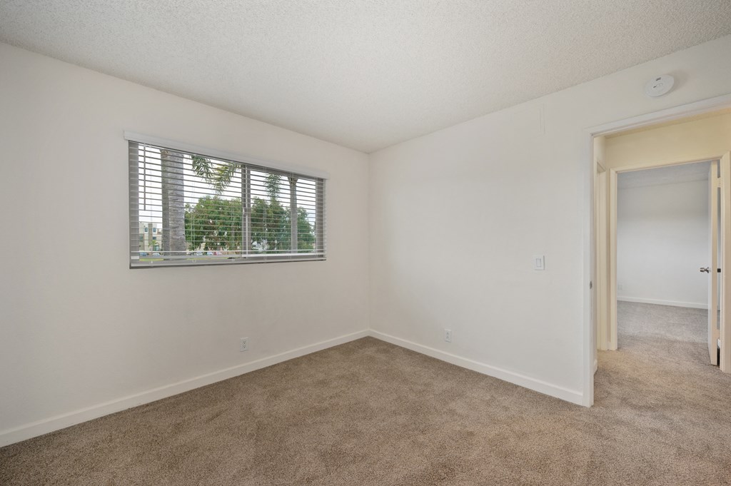 the living room of an apartment with carpet and a window