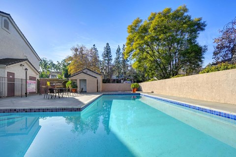A swimming pool in a backyard with a patio and trees in the background.