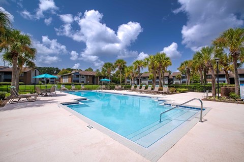 A large swimming pool surrounded by palm trees and lounge chairs.