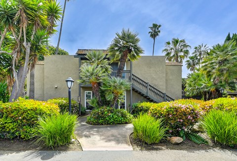 a building with palm trees in front of it